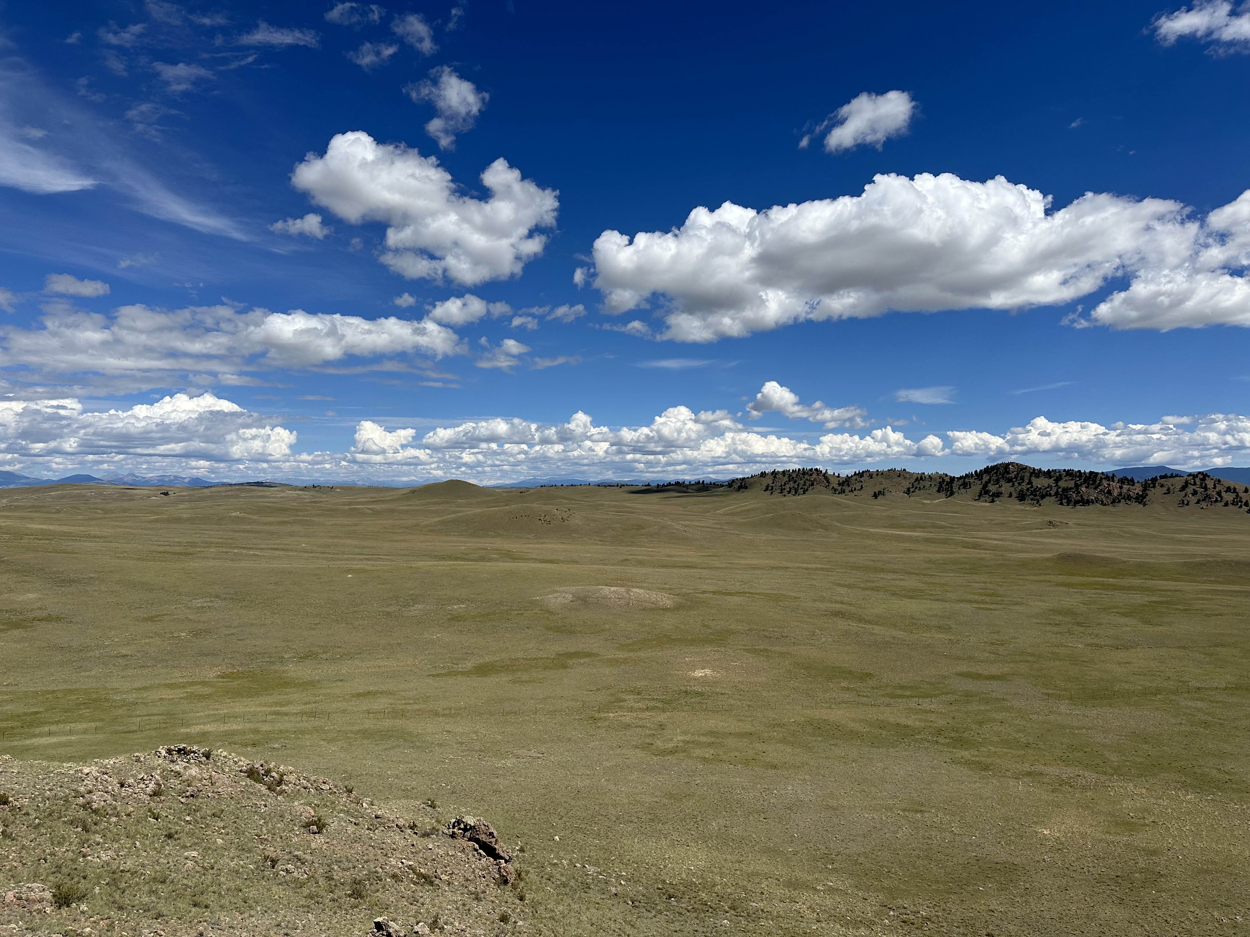 Rolling hills and tree clusters near the campsites
